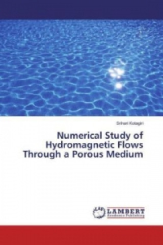 Carte Numerical Study of Hydromagnetic Flows Through a Porous Medium Srihari Kotagiri