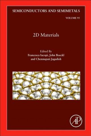 Kniha 2D Materials Francesca Iacopi