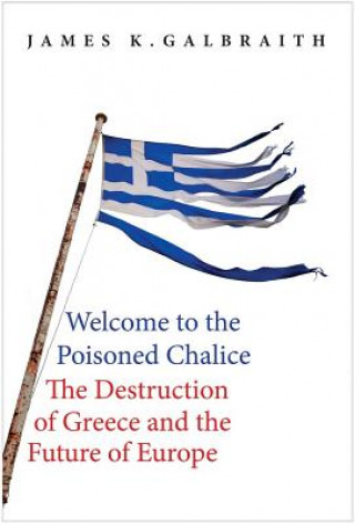 Knjiga Welcome to the Poisoned Chalice James K. Galbraith