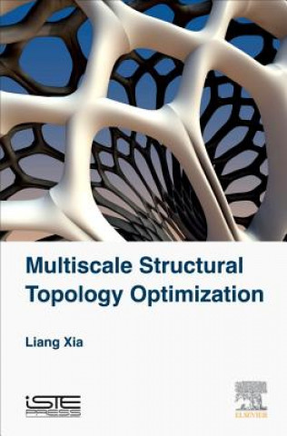 Kniha Multiscale Structural Topology Optimization Liang Xia