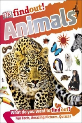 Kniha DKfindout! Animals DK