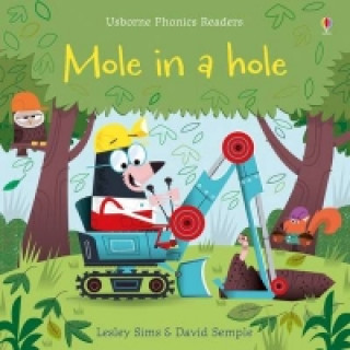Kniha Mole in a Hole Lesley Sims