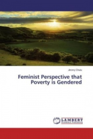 Carte Feminist Perspective that Poverty is Gendered Jimmy Chulu