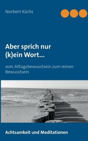 Kniha Aber sprich nur (k)ein Wort... Norbert Kurlis