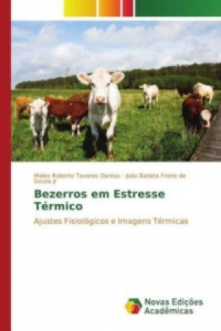 Kniha Bezerros em Estresse Térmico Maiko Roberto Tavares Dantas