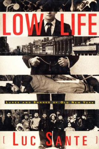 Kniha LOW LIFE Luc Sante