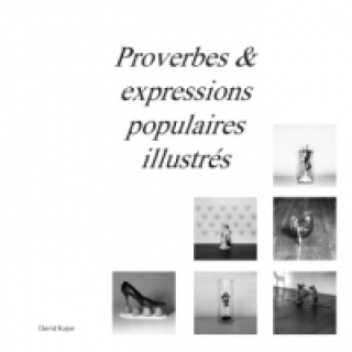 Kniha Proverbes & expressions populaires illustrés David Kujas