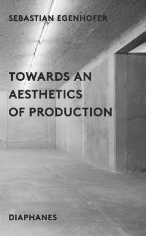Könyv Towards an Aesthetics of Production Sebastion Egenhofer