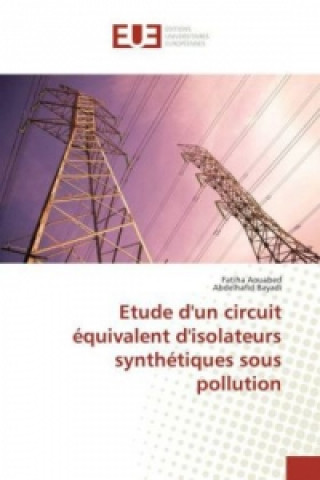 Könyv Etude d'un circuit équivalent d'isolateurs synthétiques sous pollution Fatiha Aouabed