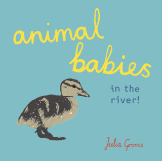 Kniha Animal Babies in the river! Julia Groves
