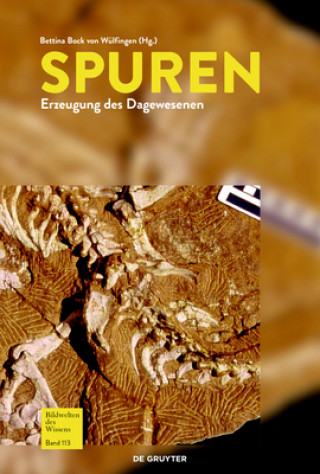Knjiga Spuren Bettina Bock von Wülfingen