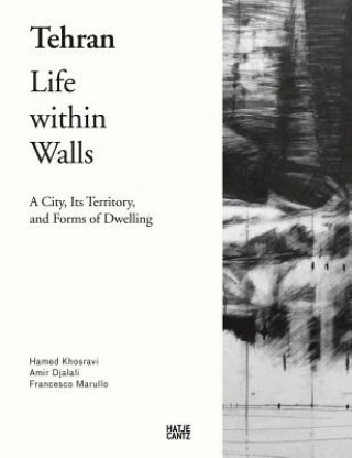 Buch Tehran - Life Within Walls: Hamed Khosravi