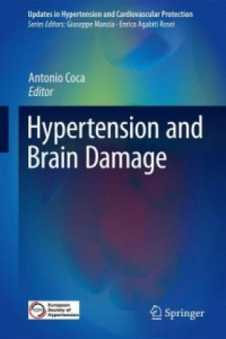 Kniha Hypertension and Brain Damage Antonio Coca