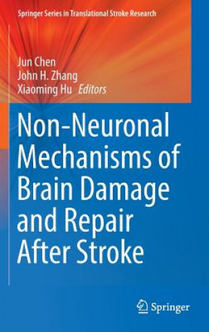 Książka Non-Neuronal Mechanisms of Brain Damage and Repair After Stroke Jun Chen