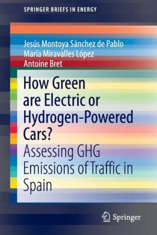 Buch How Green are Electric or Hydrogen-Powered Cars? Jesus Montoya Sánchez de Pablo