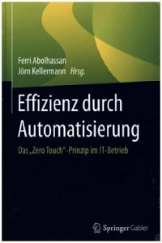 Kniha Effizienz durch Automatisierung Ferri Abolhassan