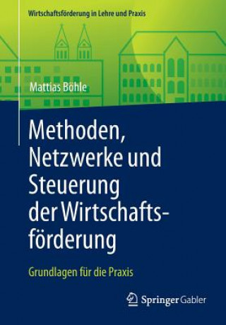 Könyv Methoden, Netzwerke Und Steuerung Der Wirtschaftsf rderung Mattias Böhle