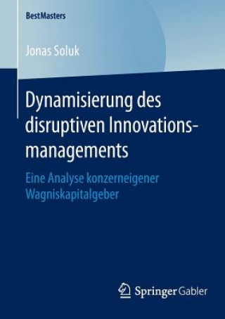 Könyv Dynamisierung Des Disruptiven Innovationsmanagements Jonas Soluk