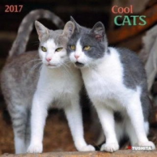 Książka Cool Cats 2017 
