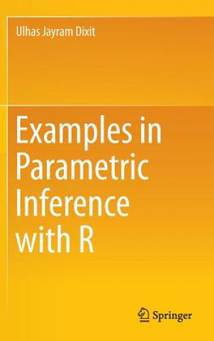Kniha Examples in Parametric Inference with R Ulhas Jayram Dixit