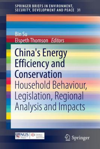 Kniha China's Energy Efficiency and Conservation Bin Su