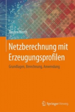 Książka Netzberechnung mit Erzeugungsprofilen Torsten Werth