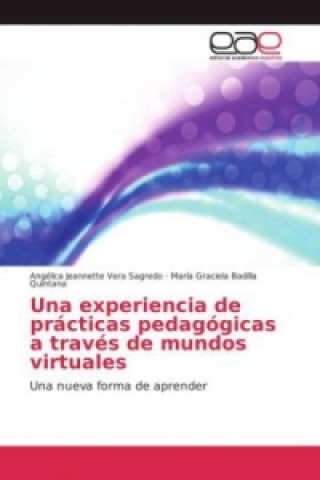Kniha Una experiencia de prácticas pedagógicas a través de mundos virtuales Angélica Jeannette Vera Sagredo