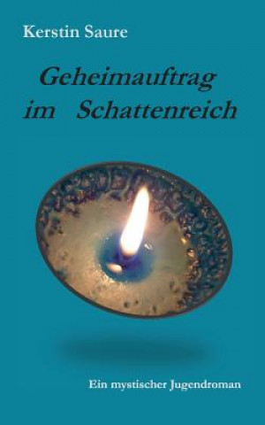 Книга Geheimauftrag im Schattenreich Kerstin Saure