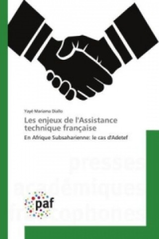 Könyv Les enjeux de l'Assistance technique française Yayé Mariama Diallo