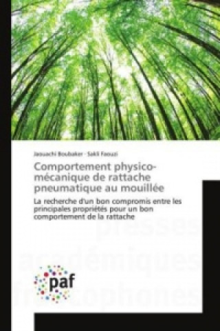 Könyv Comportement physico-mécanique de rattache pneumatique au mouillée Jaouachi Boubaker