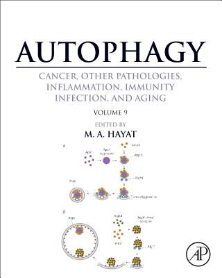 Kniha Autophagy: Cancer, Other Pathologies, Inflammation, Immunity, Infection, and Aging M. Hayat