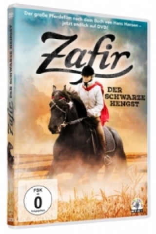 Video Zafir - Der schwarze Hengst, 1 DVD Miriam N?rgaard