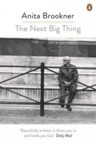 Kniha Next Big Thing Anita Brookner