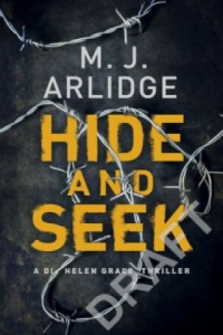 Kniha Hide and Seek M. J. Arlidge