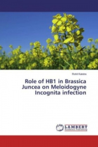 Carte Role of HB1 in Brassica Juncea on Meloidogyne Incognita infection Rohit Kalotra