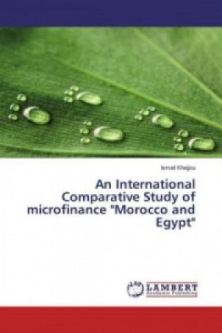 Kniha An International Comparative Study of microfinance "Morocco and Egypt" Ismail Khejjou