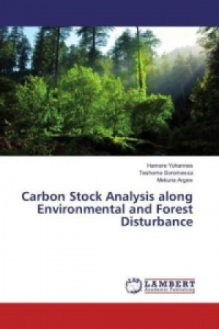 Kniha Carbon Stock Analysis along Environmental and Forest Disturbance Hamere Yohannes