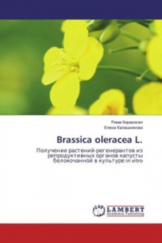 Buch Brassica oleracea L. Rima Kirakosyan