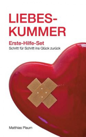 Książka Liebeskummer Erste-Hilfe-Set Matthias Plaum