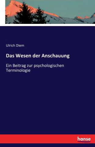 Buch Wesen der Anschauung Ulrich Diem