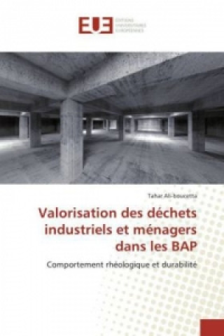 Книга Valorisation des déchets industriels et ménagers dans les BAP Tahar Ali-boucetta