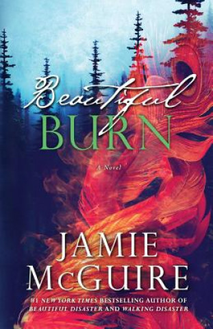 Könyv Beautiful Burn Jamie McGuire
