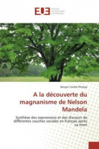 Buch A la découverte du magnanisme de Nelson Mandela Bangre Yamba Pitroipa