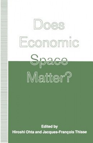 Kniha Does Economic Space Matter? Arthur J. Wolak