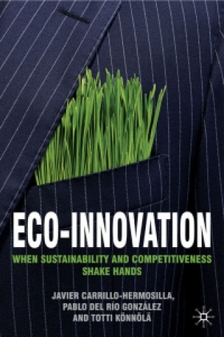 Könyv Eco-Innovation Javier Carrillo-Hermosilla