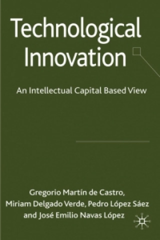 Könyv Technological Innovation Gregorio Martin De Castro