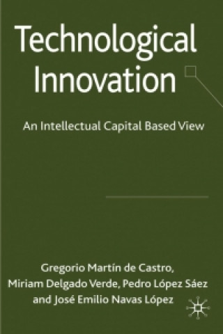 Buch Technological Innovation Gregorio Martin De Castro