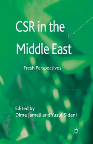 Book CSR in the Middle East Yusuf Sidani