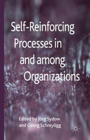 Książka Self-Reinforcing Processes in and among Organizations G. Schreyögg