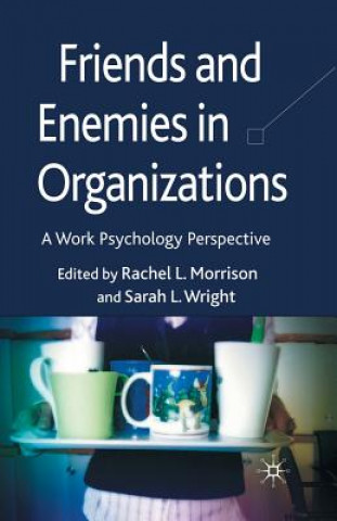 Książka Friends and Enemies in Organizations R. Morrison